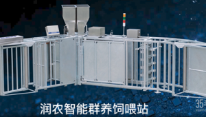 電子飼喂站視頻（電子飼喂站的注意事項）