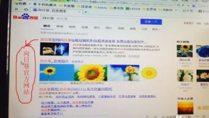 向日葵app下載軟件園(向日葵軟件app官方)