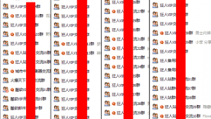 狂人站群管理系統(狂人主群)