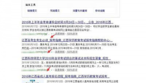 做站群需要注意什么(站群工具)