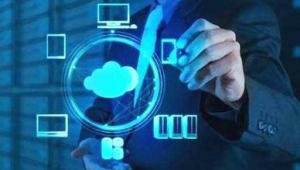 軟件和信息技術(shù)服務(wù)網(wǎng)站的區(qū)別(軟件與信息服務(wù)專(zhuān)業(yè)大學(xué))