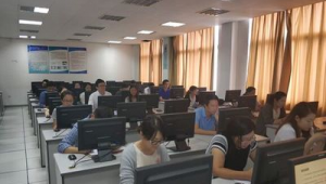 站群項(xiàng)目(站群盈利模式)