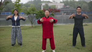 王薌齋大成拳站樁視頻（王珍清大成拳學費）