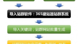 2021站群軟件（站群賺錢嗎）