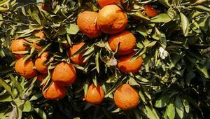 戒煙網站有哪些(戒煙頭像高清)