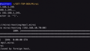 美國站群服務器租用（美國站群vps云服務器）
