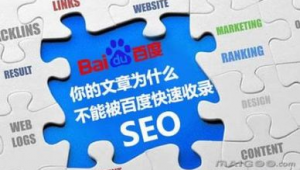 百度快速seo軟件怎么樣（百度快速seo軟件下載）