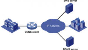 什么叫站群系統_2021站群程序