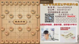 軟件象棋評測網站有哪些(軟件象棋比賽視頻)