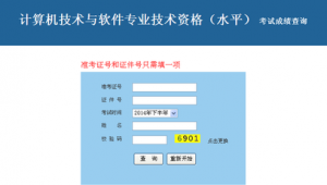 探索超實用軟件查詢網站，海量資源輕松獲取
