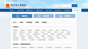 學校門戶網站是什么意思(高校網站群)