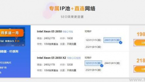 站群服務器什么意思(站群服務器能建多少個網站)