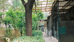 芳群園房價(芳群園社區服務電話)