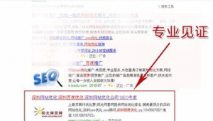 西安seo顧問公司(西安seo全網營銷)
