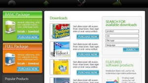 探秘WWW網站軟件：功能、優勢與熱門應用解析