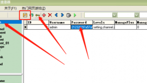 站群管理軟件(站群系統開發)
