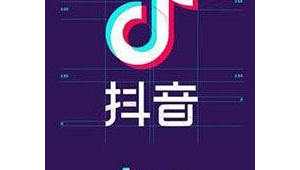 抖音seo軟件工具(抖音seo公司)