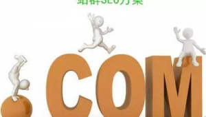 群站seo（站群工具）