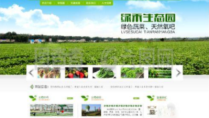 探索軟件生態(tài)網(wǎng)站:匯聚多樣軟件,開啟精彩數(shù)字世界之旅