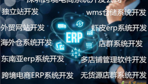 開發網站用什么軟件(網站開發用到哪些技術)