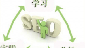 學seo容易嗎_seo好學嗎入門怎么學