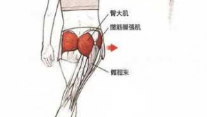 站姿水平外展(站姿腿外展練哪里)