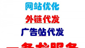 泛站群代做收錄(泛站群推廣)