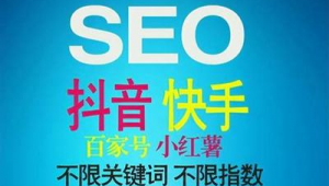 seo排名點擊 seo查詢（seo點擊排名算法）
