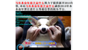 網絡紅人龍少的資料（b站龍少是誰）