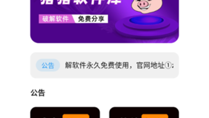 豬豬軟件庫網站版(豬豬軟件園)