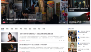 寄生蟲(chóng)站群系統(tǒng)（寄生蟲(chóng)口工）