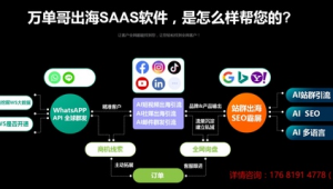 站群seo怎么做（站群營銷是什么意思）