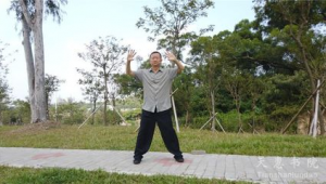 名師站樁教學(中醫養生站樁視頻)