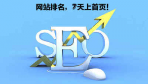 seo網站推廣軟件 快排