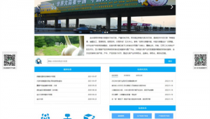 金鄉網站推廣軟件