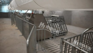 智能飼喂設(shè)備有哪些(智能飼喂設(shè)備)