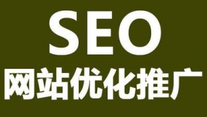 網站優化推廣軟件下載（網站優化推廣軟件推薦）