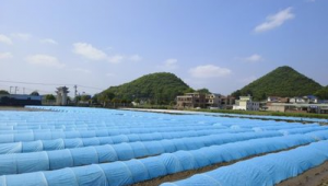 桐梓縣政府門戶網(wǎng)站通知公告_桐梓縣人民政府網(wǎng)站招聘