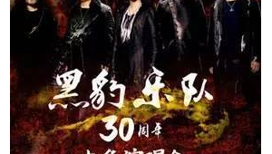 黑豹vpz(黑豹團(tuán)隊(duì))