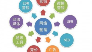 seo技術(shù)軟件(seo賺錢項(xiàng)目)