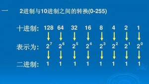 站群服務器開vps（站群服務器能建多少個網站）