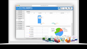 成都大新軟件（大新制作是什么）