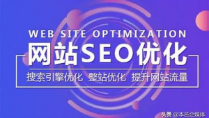 seo快速優化技術（seo排名優化軟件有）