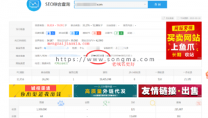 單頁站群破解版