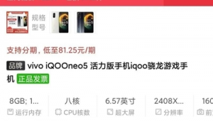 2021站群(站群要投入多少)