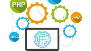 網站優化軟件費用(專業的網站優化公司)