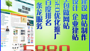 東城網絡公司_東城官方網站查詢