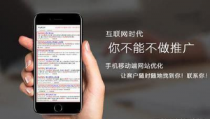 移動端 seo_seo手機優化軟件哪個好用