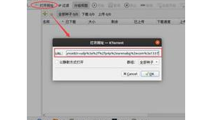 有什么好用的磁力鏈網站嗎（2021好用能用的磁力網站）