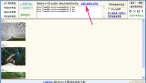 網(wǎng)站自動保存軟件有哪些（瀏覽器自動保存網(wǎng)頁）